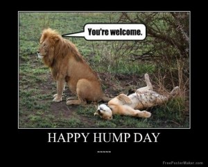Happy hump day