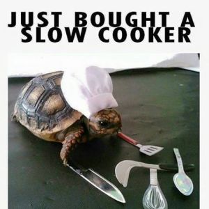 Slow cooker