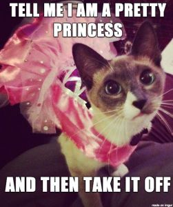 Hot off the Press 2808