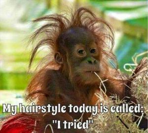 Bad hair day