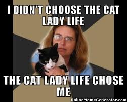 Crazy cat lady