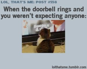 Doorbell