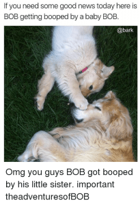 Hot off the Press 3010