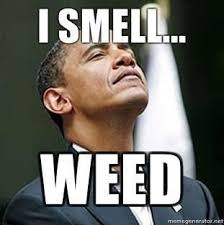 smell weed