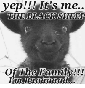 Black sheep