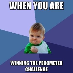 Pedometer