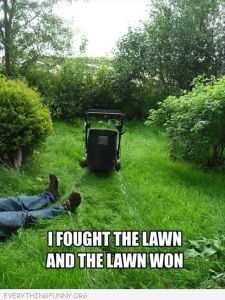 Lawn