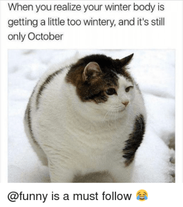 No Longer bikini body