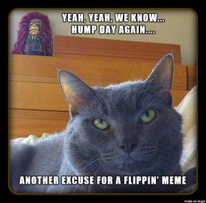Hump Day