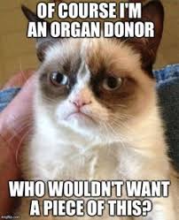 Organ donor