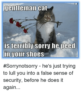 Fasle sense of security