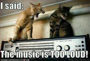 Loud Music