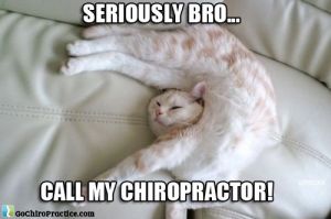 Chiropractor