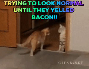 Normal