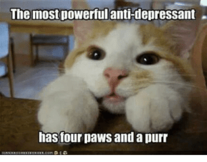 Antidepressants 1