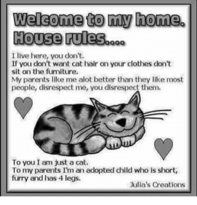 My house my rules