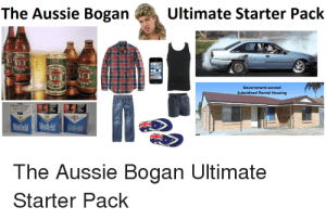 Bogan Education