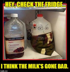 Check fridge 1