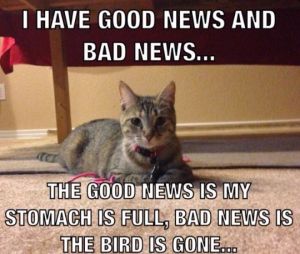 Good news bad news