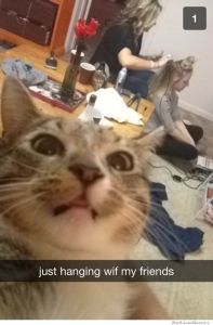 Hanging out with friends