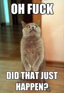 How the fuck did that happen