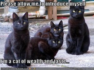 Introduce yourselves