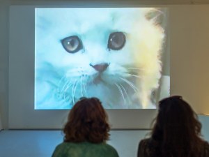 Mingle and Socialize