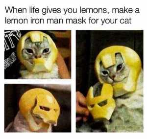 Lemons