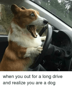 Long drive