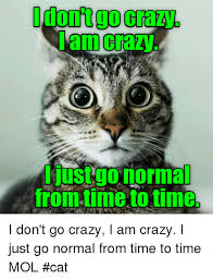 Never Normal