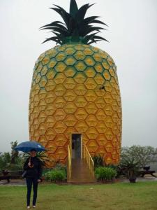 The Big Pineapple