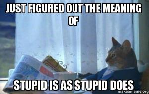 Stupid is as stupid does
