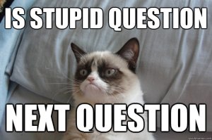 Thats a stupid question
