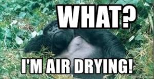 Air Drying