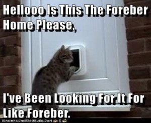 Looking for a new home