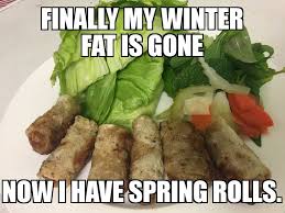 Spring rolls